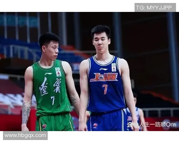 辽宁男篮对阵同曦队的精彩对决回顾与分析2017赛季表现